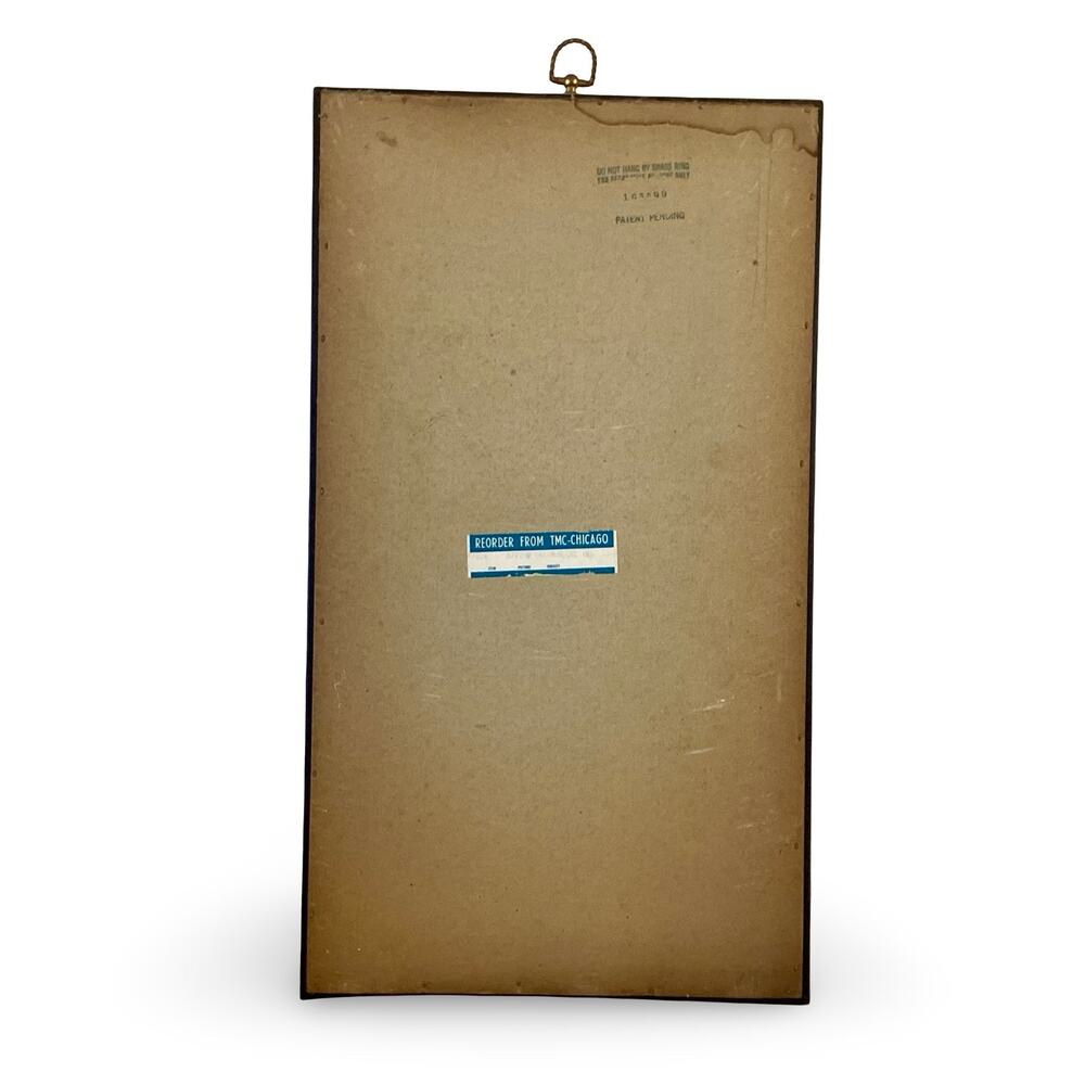 Turner Wall Accessory Instrument Shadow Box - Picture 6 of 8